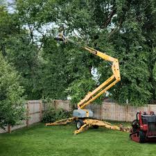 Best Tree Risk Assessment  in Trabuco Nyon, CA