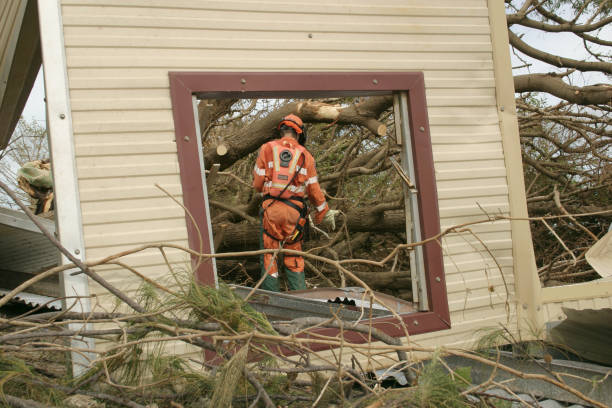 Best Emergency Tree Removal  in Trabuco Nyon, CA